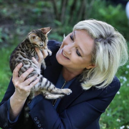 [FRANCIA] Marine Le Pen: un poquito xenófoba y de extrema derecha ¡pero apasionada por los gatos! 
Te presentamos a la candidata presidencia...
