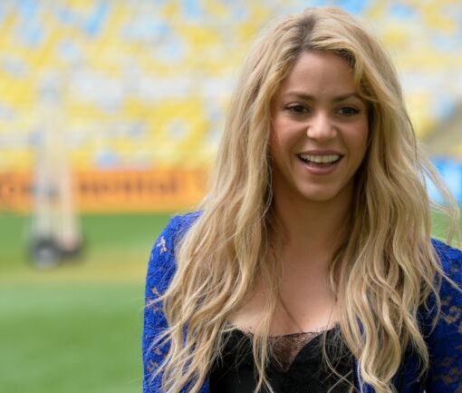 [FEMINISMO IMPOSITIVO] El titular de la AFIP celebró el mensaje de Shakira para que "las mujeres ya no lloren y facturen" e instó a que much...