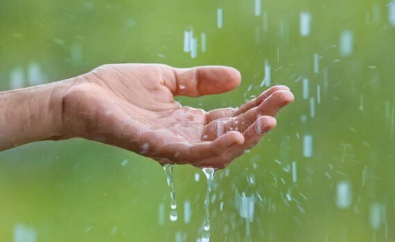 [CIENCIA] De qué trata ese fenómeno que los expertos llaman "lluvia" y cómo podemos reconocerla si llegara a pasar. ...